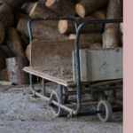 Can Tung Oil Handle the Great Outdoors