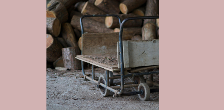 Can Tung Oil Handle the Great Outdoors