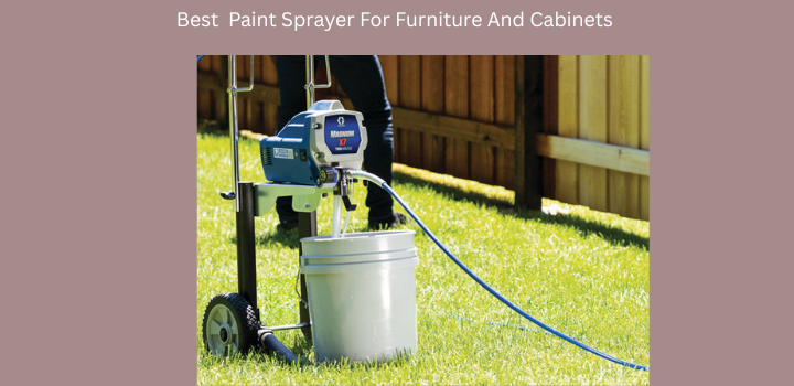 Best Paint Sprayer For Furniture And Cabinets